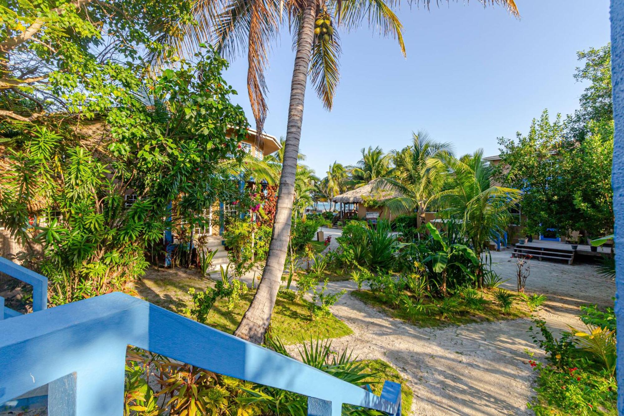 White Sands Cove San Pedro  Szoba fotó